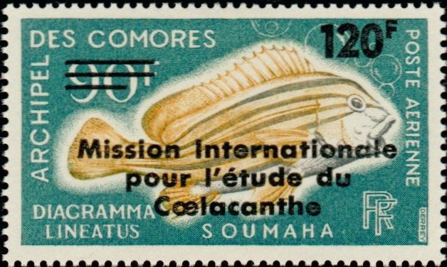 Stamp