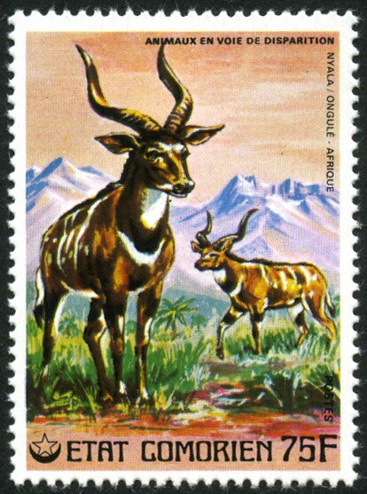 Stamp