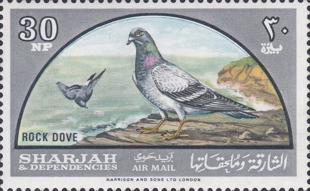 Stamp