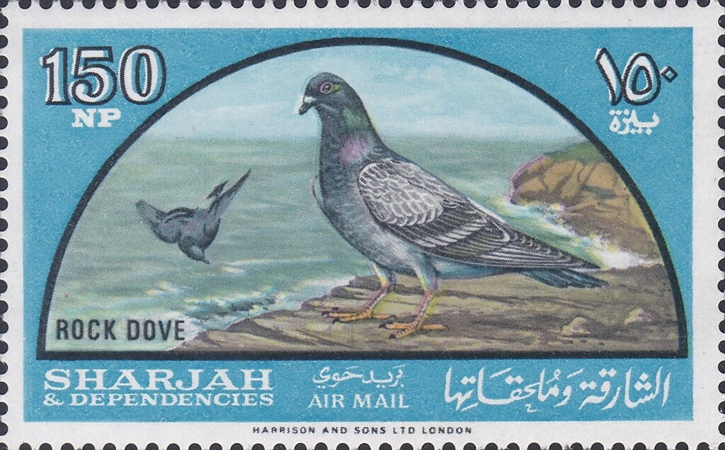 Stamp