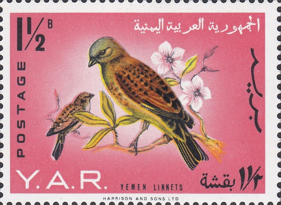Stamp